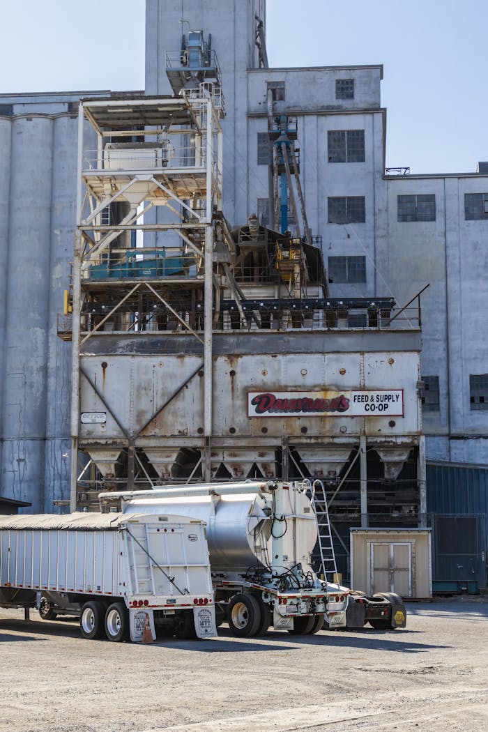 pexels photo 18468444.jpeg