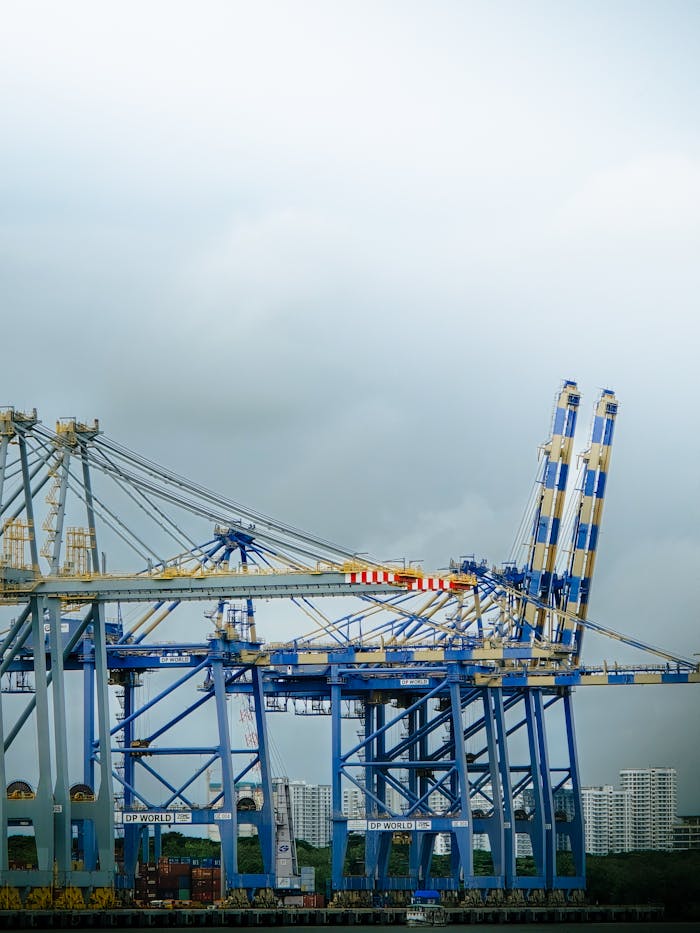 pexels photo 33885284.jpeg